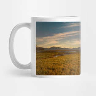 WGC_1444_C Mug